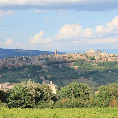Agriturismo Borgo Pirolino Ορβιέτο Εξωτερικό φωτογραφία